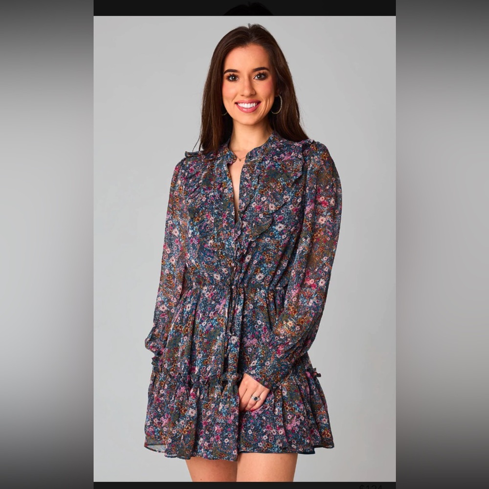 NWOT- Buddy Love Celia Long Sleeve Dress